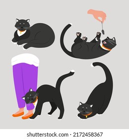 Set of cute black cat with white spots in different poses. Pets. Vector illustration.