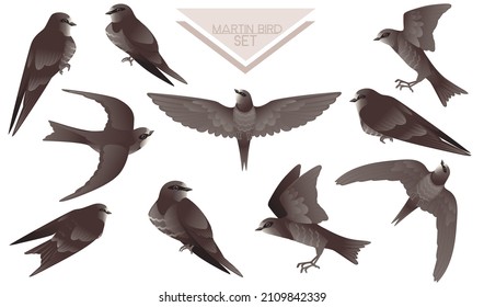 Set of cute black swift sitting and flying on white background cartoon bird animal design