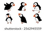 A set of cute black and white puffins. A collection of arctic birds in different poses.
