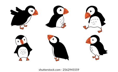 A set of cute black and white puffins. A collection of arctic birds in different poses.