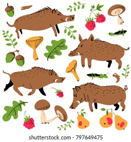 Set with cute boars and forest environmental plants and fruits. Vector illustration with wild pigs. Forest inhabitant in cartoon flat style