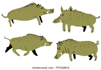 Set with cute boars. Vector illustration with wild pigs. Forest inhabitant in cartoon flat style