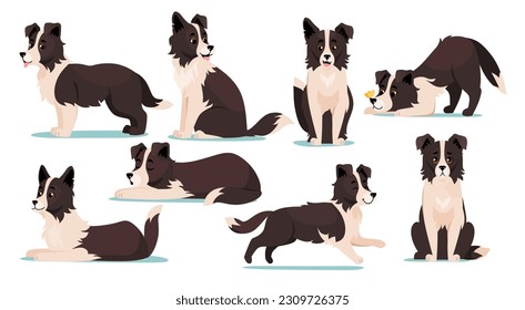 Set of cute Border Collie dog breed icons isolated on white background. Collection of canine characters with happy faces sleeping, running, barking, playing and sitting. Cartoon vector illustration.