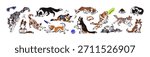 Set of cute Border Collies. Herding dog is working, playing and running. Funny puppies sleep, have fun and eat. Happy pets, domestic animals. Flat isolated vector illustrations on white background