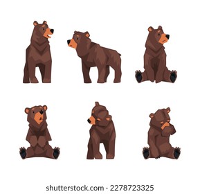 Set of cute brown bear in different poses. Wild forest sitting and standing mammal animal cartoon vector illustration