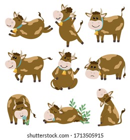 Set of cute Bulls character in various positions. Vector illustration for your design