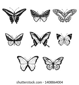 Set Cute Butterflies Vector Cartoon Illustrations Stock Vector (Royalty ...