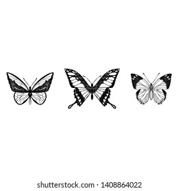 Set of cute butterflies. Vector cartoon illustrations. Isolated objects on a white background. Hand-drawn style.