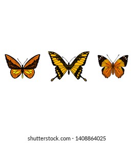 Set of cute butterflies. Vector cartoon illustrations. Isolated objects on a white background. Hand-drawn style.
