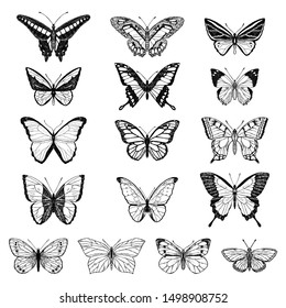 Set of cute butterflies. Vector cartoon illustrations. Isolated objects on a white background. Hand-drawn style.