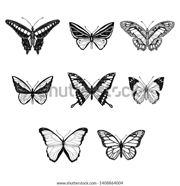 Set Cute Butterflies Vector Cartoon Illustrations Stock Vector (Royalty ...