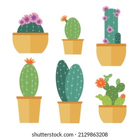 Set of cute cacti with flowers in pots. Flat icons. Design for decor. Vector illustration.