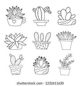 Set of cute cacti in pot isolated on white background