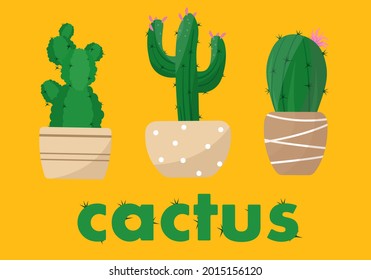 a set of cute cacti in pots in a cartoon flat style on an orange background.vector illustration