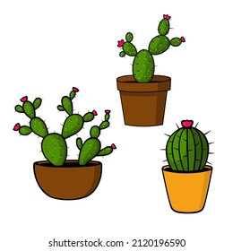 Set of cute cacti in pots. Collection of bright flowering  potted plants. Isolated elements on a white background.