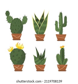 Set of cute cactus and plants on an isolated background. Cactus with flowers. Home plant. Vector illustration.