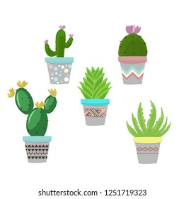set of cute cactus and succulent plant in colorful pots,vector illustration.