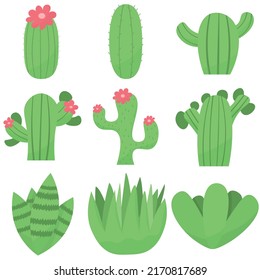 Set of cute cactus or succulent, vector cartoon illustration in flat style