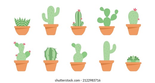 Set of cute cactus and succulents in ceramic pot.  Decorative natural elements are isolated on white. Cactus with flowers. Modern Vector illustration in cartoon flat style