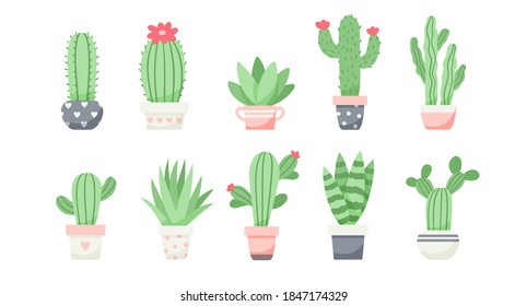 Set of cute cactus and succulents, vector illustration in flat style