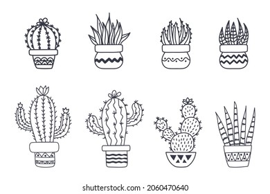Set of cute cactus and succulents, vector illustration in hand drawn style