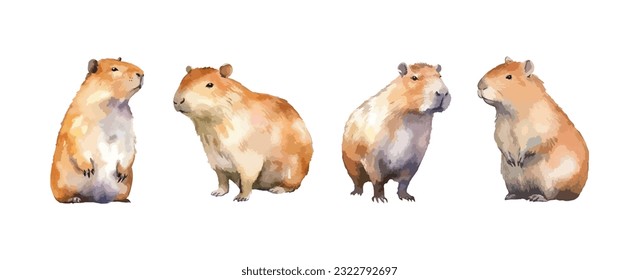 Conjunto de agua tierno de los animales de Capibara aislada sobre fondo blanco. Ilustración del vector