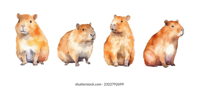 Conjunto de agua tierno de los animales de Capibara aislada sobre fondo blanco. Ilustración del vector