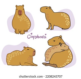 Conjunto de tiernos Capybara. Ilustración de color vectorial del capibara. Dibujo de un animal al estilo de las caricaturas.