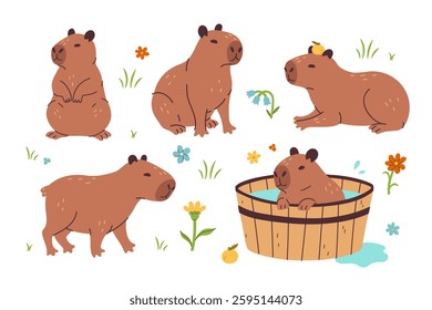 Set of cute capybaras isolate on white background. Vector graphics