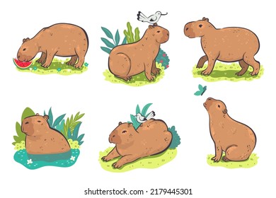 Set of cute capybaras isolated on white background. Vector graphics.