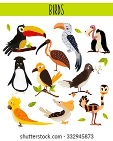 Set of Cute cartoon Animals birds living in different corners of the planet the forests and the jungles. Toucan, vulture, parrot, penguin, ostrich, cockatoo, Pelican, Nightingale Vector illustration