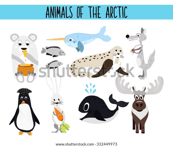 Set Cute Cartoon Animals Birds Arctic Stock Vector (Royalty Free ...