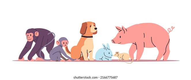 set cute cartoon animals isolated full length horizontal