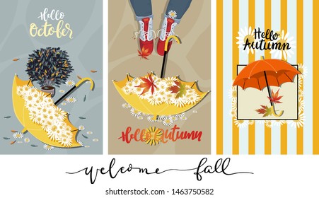 Set of Cute cartoon Autumn banner,Vector Hello Autumn with striped pattern,umbellar,autumn potplant, daisys and maples leave falling on the graund, Autumn or Fall seasons background