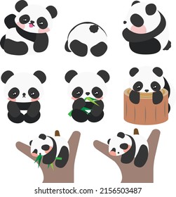 Set of Cute Cartoon Baby Panda. Different panda poses collection. Cartoon Panda Collection. Illustration, Vector, EPS10
