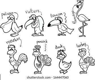 Set of cute cartoon birds 