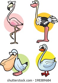 Set of cute cartoon birds