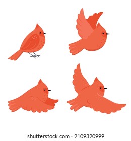 Set Of Cute Cartoon Birds Red Cardinal Isolated On White Background. Vector Graphics.