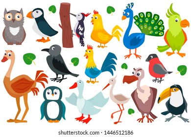 Set of cute cartoon birds. Vector flat illustration.