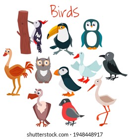 Set of cute cartoon birds. Vector flat illustration.