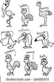 Set of cute cartoon black and white birds