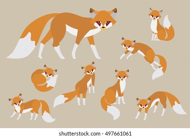 Set of cute cartoon brown fox in modern flat style. Animal character design.  