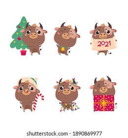 Set of cute cartoon bulls and cows. New year cattle with various festive attributes. Set of holiday animals for the design of calendars,cards,advertising. Vector illustration in cartoon style.