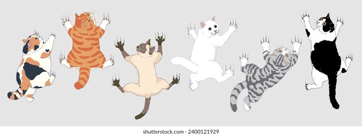 Set of Cute Cartoon Cats Climbing a Wall with Their Front Paws Extended - Calico, Orange, Siamese, White, Tuxedo, and Shorthair Silver Tabby Cats. Isolated Vector Illustration.