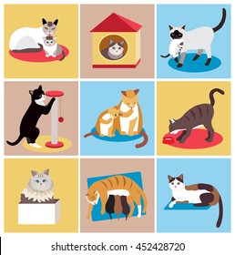 Set of cute cartoon cats (vector illustration)