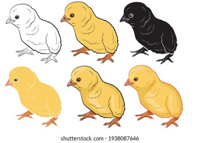 Set of Cute cartoon chickens. Funny yellow chickens. Vector illustrations.