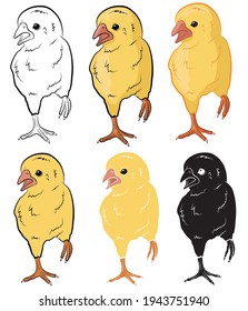 Set of cute cartoon chicks runs. Funny yellow chicken. Vector illustration.