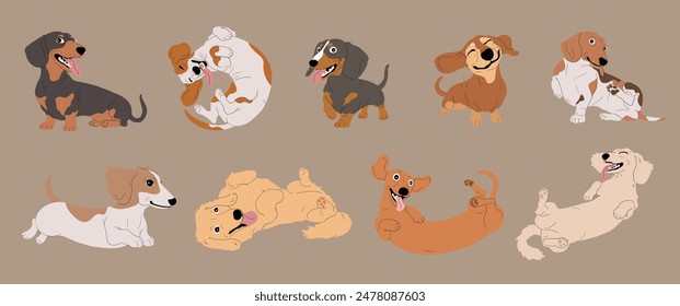 Set of Cute Cartoon Dachshund Dogs with Various Fur Colors and Coat Types,Isolated Vector Illustration