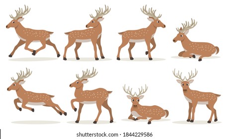 Set of cute cartoon deer with long horns, forest animals, vector illustration isolated on white background