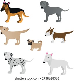 Set of cute cartoon dog races isolated on white bachround. For a possible packaging or graphic. Vector illustration.